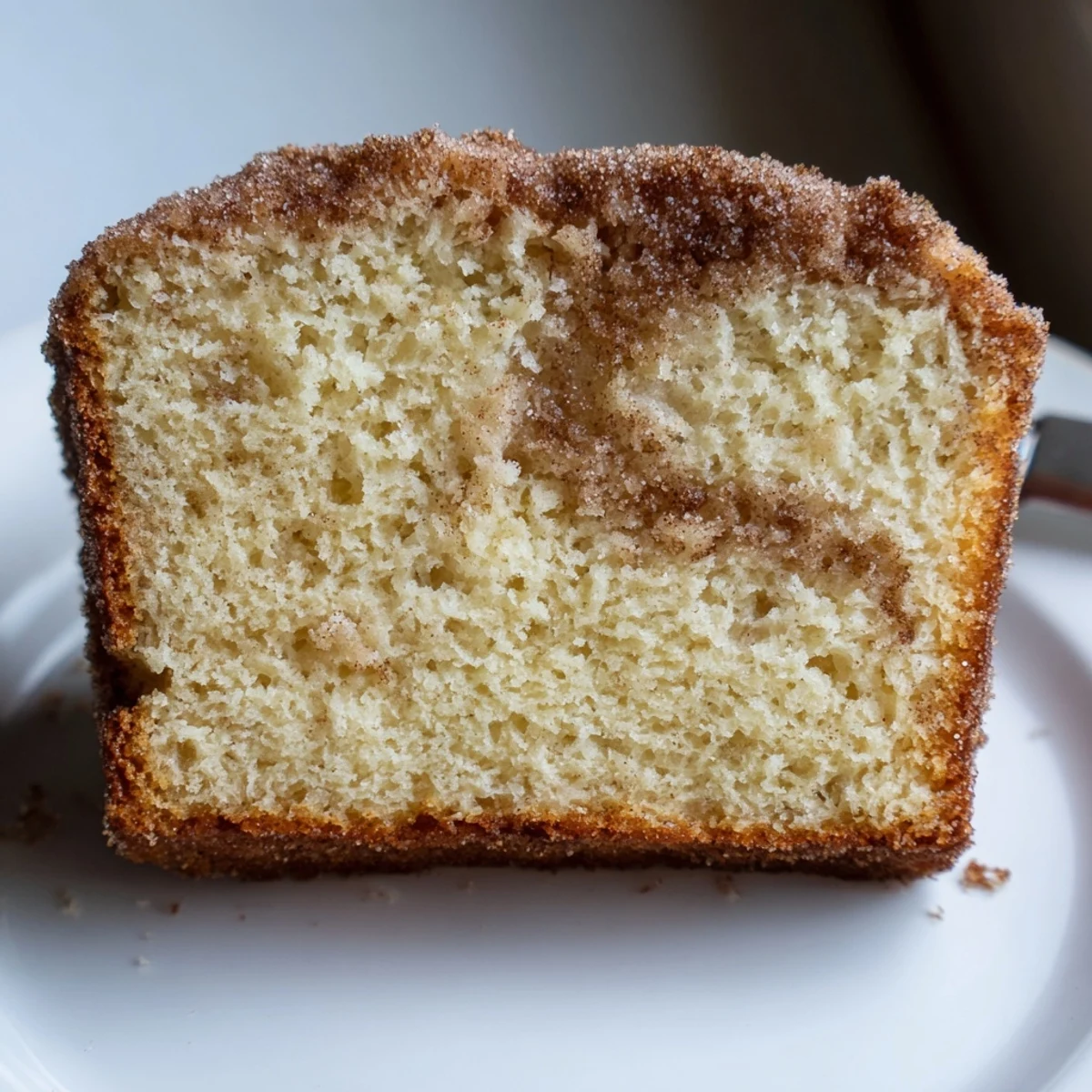 Moist cinnamon donut loaf with a crackly cinnamon-sugar topping served on a rustic plate